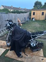 IMG_6541.jpeg