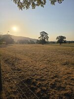 20260813_070724.jpg