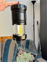 IMG_3391.jpeg