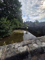 20260813_170507.jpg
