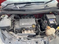 IMG_6065.jpeg
