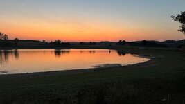 IMG_1038.jpeg IMG_1038.jpeg