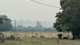 IMG_1044.jpeg