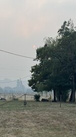 IMG_1045.jpeg