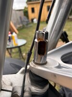 IMG_6558.jpeg