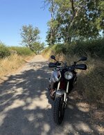 IMG_7073.jpeg
