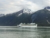 IMG_2753.jpeg IMG_2753.jpeg