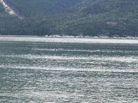 IMG_2752.jpeg IMG_2752.jpeg