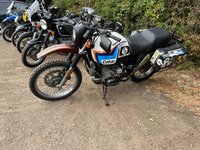 IMG_3321.jpeg