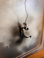 IMG_6592.jpeg