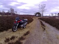 18032008077.jpg