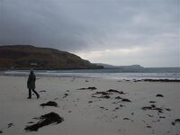 Mull 8-10.  feb 08 040 (Large).jpg