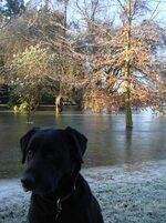nov 082.jpg
