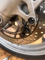 IMG_6635.jpeg IMG_6635.jpeg