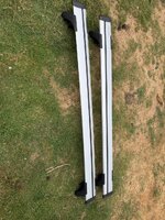 IMG_6908.jpeg
