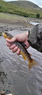 20260816_114515.jpg