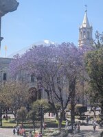 PXL_20260816_175241083.jpg