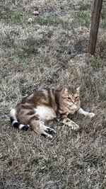 IMG_1042.jpeg IMG_1042.jpeg