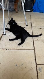 IMG_1049.jpeg IMG_1049.jpeg