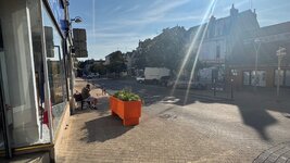 IMG_1109.jpeg IMG_1109.jpeg