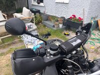 IMG_6669.jpeg IMG_6669.jpeg