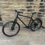 IMG_7543.jpeg IMG_7543.jpeg