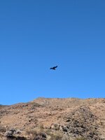 PXL_20260818_131930295.jpg