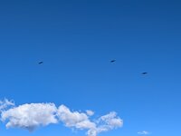 PXL_20260818_132127087.jpg