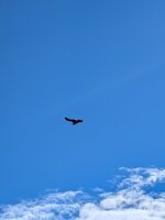 PXL_20260818_132317089.jpg