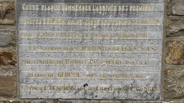 IMG_1130.jpeg IMG_1130.jpeg