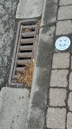 IMG_1133.jpeg IMG_1133.jpeg