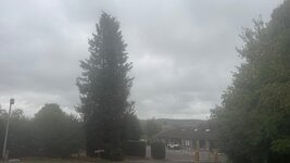 IMG_1158.jpeg IMG_1158.jpeg