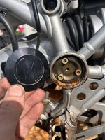 IMG_6781.jpeg IMG_6781.jpeg
