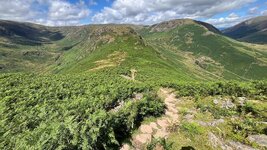 IMG_2554.jpg