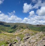 IMG_2558.jpg