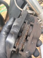 IMG_6793.jpeg IMG_6793.jpeg