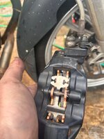 IMG_6801.jpeg IMG_6801.jpeg