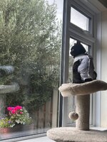 IMG_6809.jpeg IMG_6809.jpeg