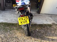 IMG_2224.jpeg