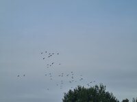 20260817_084318.jpg