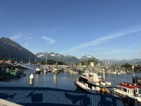 IMG_2920.jpeg