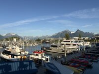 IMG_2921.jpeg