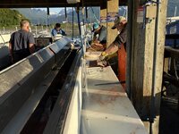 IMG_2929.jpeg
