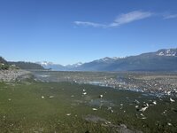IMG_2937.jpeg