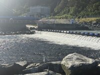 IMG_2938.jpeg