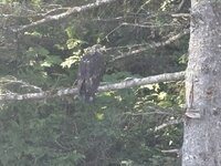 IMG_2948.jpeg