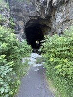 IMG_2950.jpeg