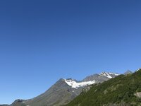 IMG_2954.jpeg