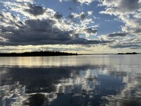 IMG_2982.jpeg