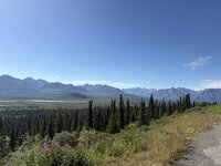 IMG_2992.jpeg